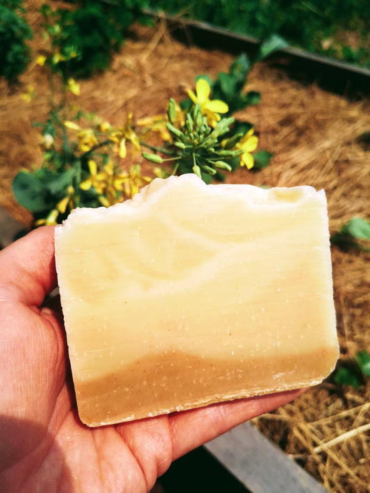 A hand holding a bar of Turmeric Ombre soap in front of yellow flowers. The soap is darker tan on the bottom and lighter tan to white on top. 